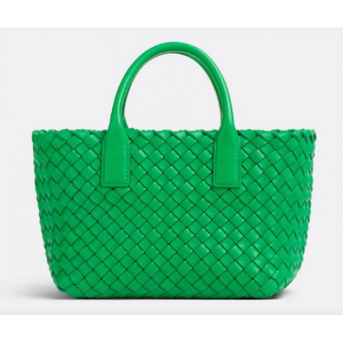 Bottega Veneta Mini Cabat 709464 Папагал