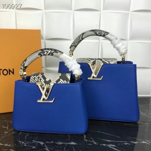 Louis Vuitton CAPUCINES MINI M99676 син